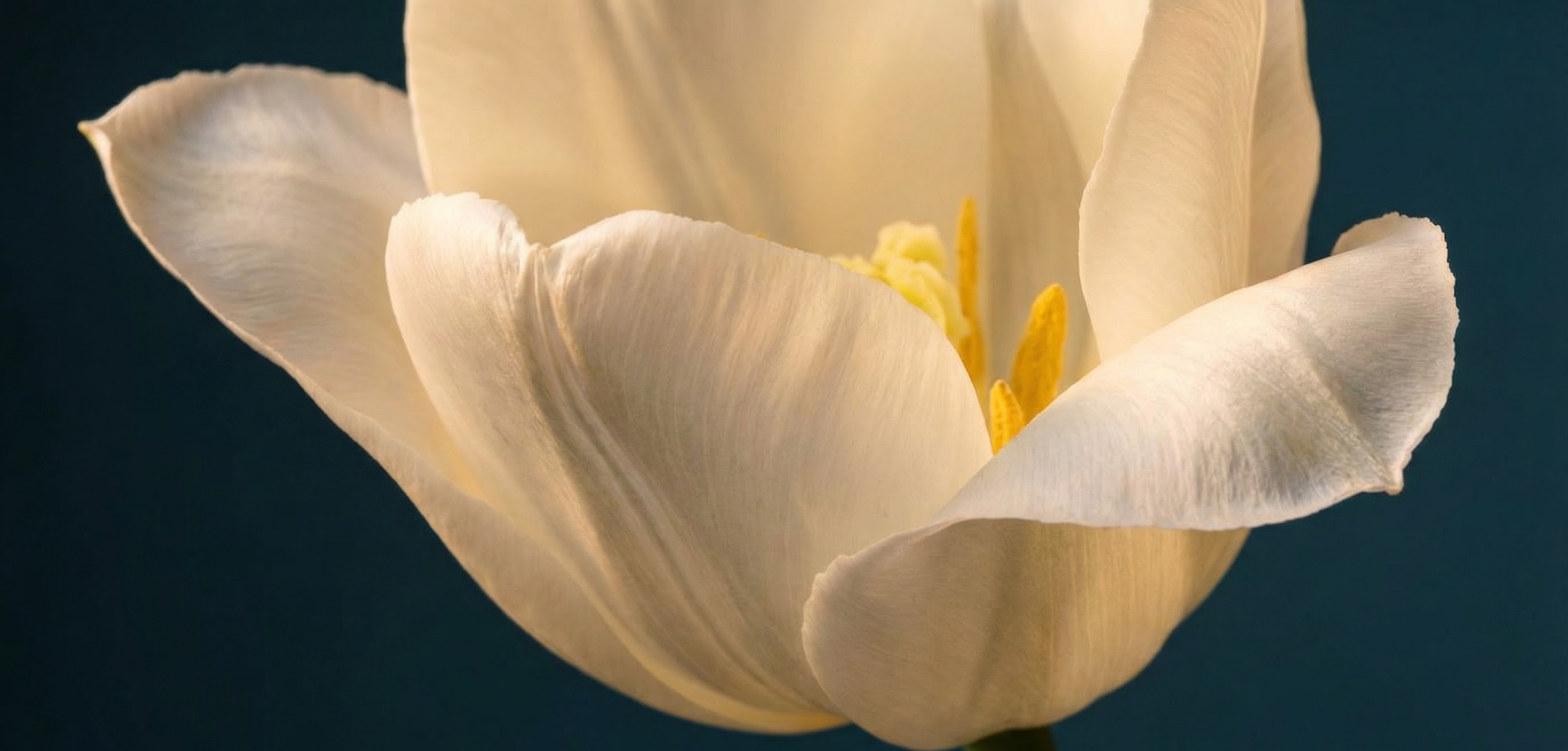 โค้งสุดท้าย ส่องเลขเด็ดแม่ตุ๊กตาพารวยงวด 1 เม.ย. 69